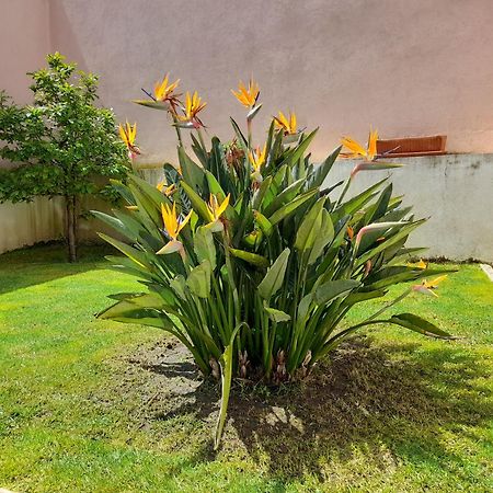 A Casa Da Avo Ana Villa Arneiro das Milharicas Dış mekan fotoğraf