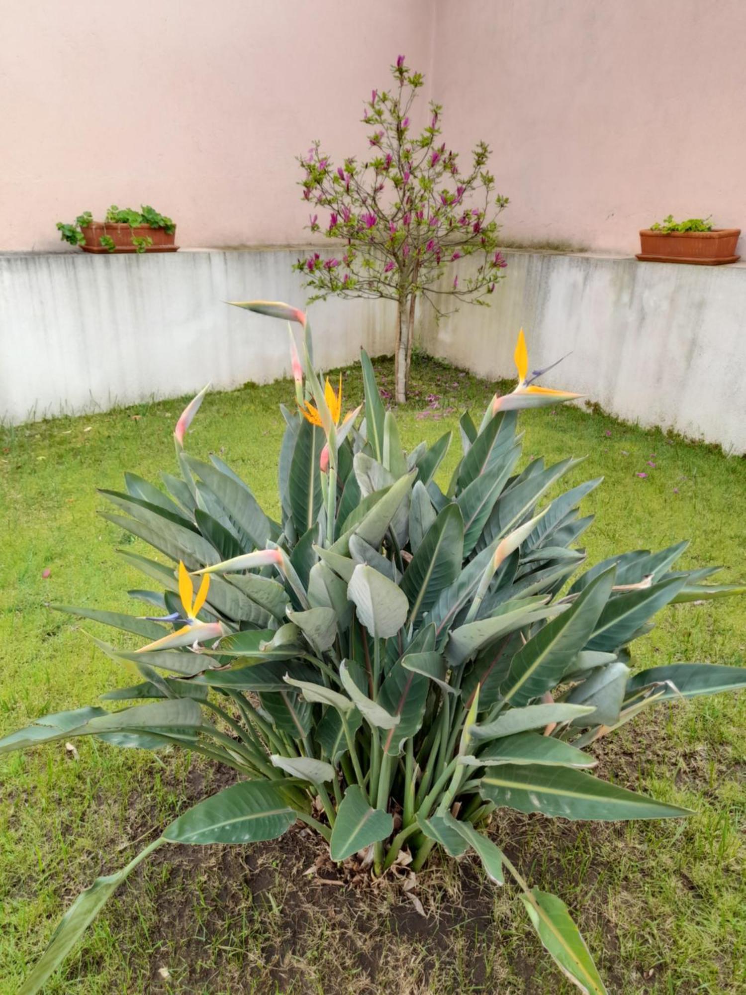 A Casa Da Avo Ana Villa Arneiro das Milharicas Dış mekan fotoğraf